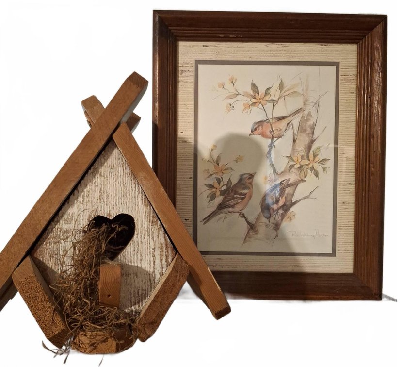 Framed Bird Print 14"×16" and Wood Birdhouse