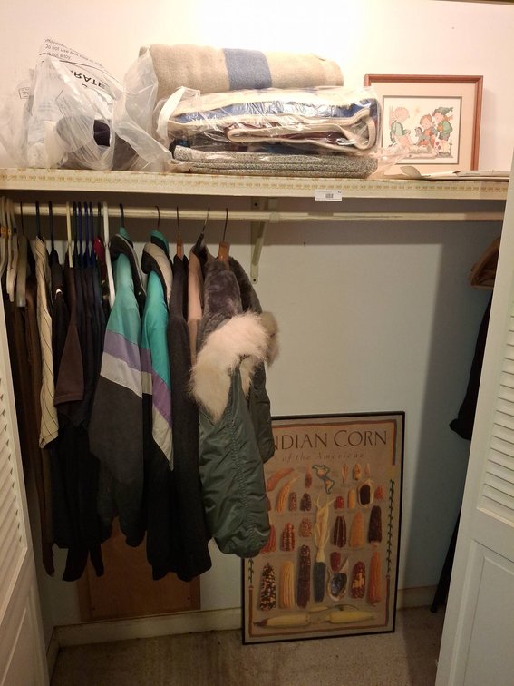 Closet Lot: Coats, Jackets, Shirts, Art, Linens