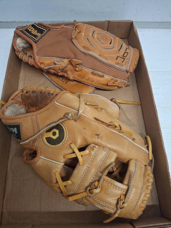 2 Baseball Gloves: Wilson & Diamond Master