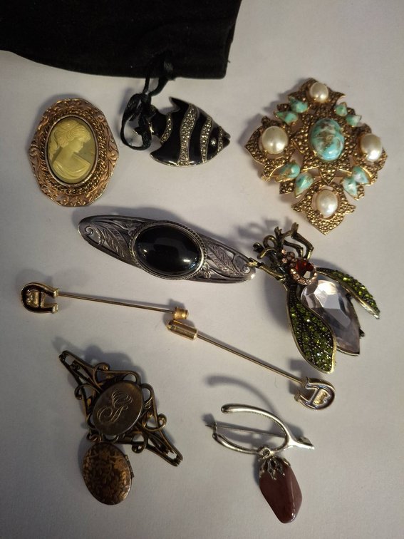 Costume Pins and Brooches