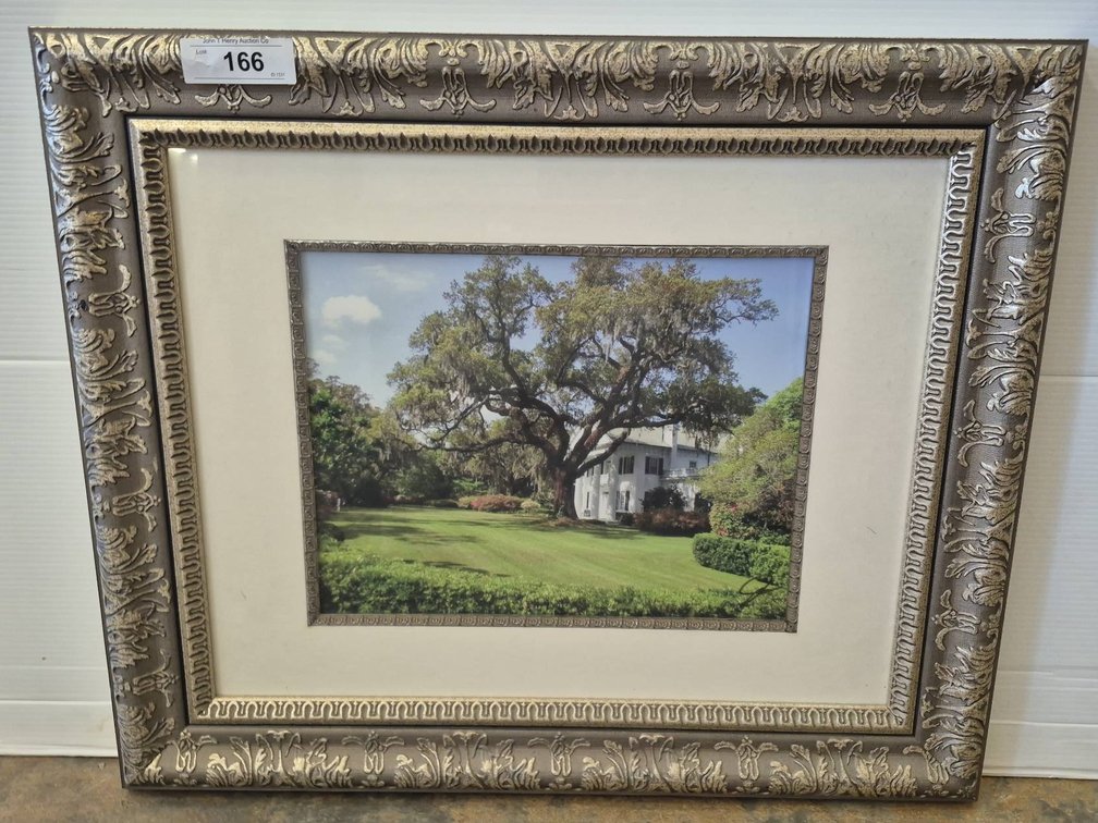 Framed Photograph Southern Home and Oak 25x21