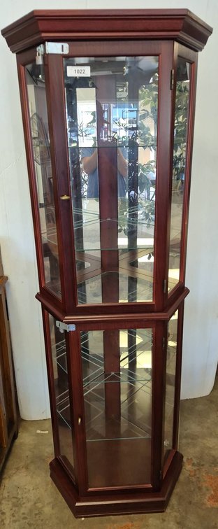 Wood Framed Glass Lighted Display Curio Cabinet