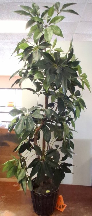 Tall Artificial Plant in Basket, 102 Inches