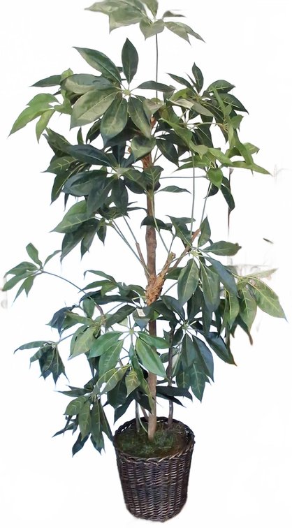 Artificial Tree in Woven Basket, 89 Inches Tall
