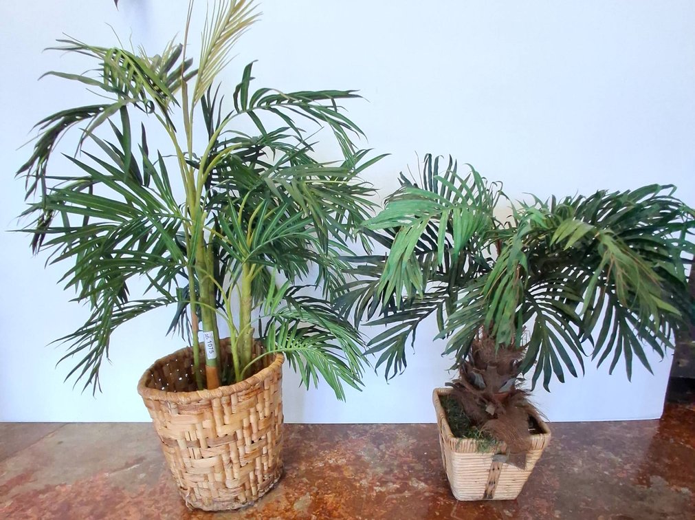 Artificial Palms in Woven Baskets, 44 in.