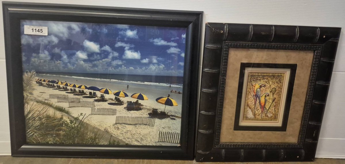 Framed Beach & Parrot Prints, Largest 24x20