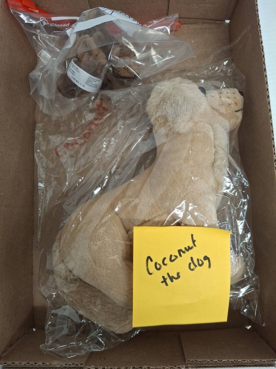 Plush Dog & American Girl Bunny Toy