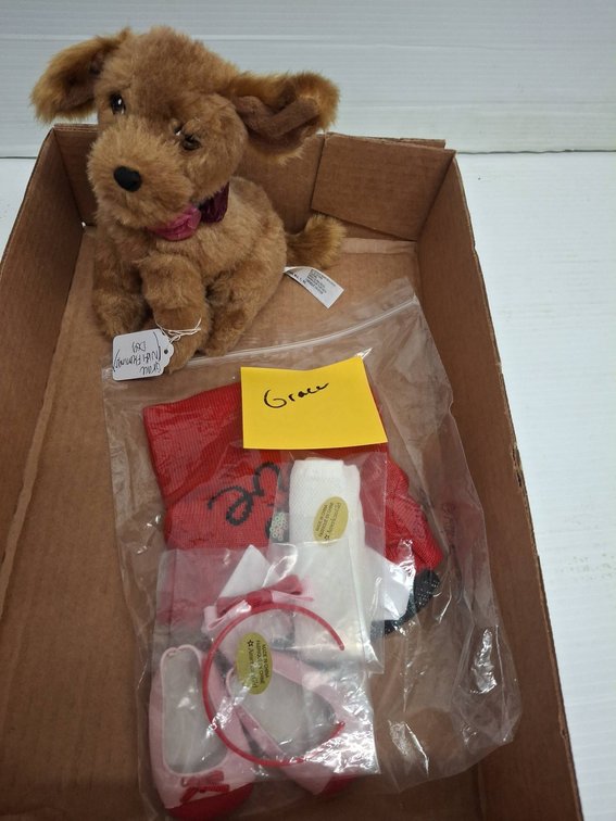 American Girl Grace Dog Plush & Accessories
