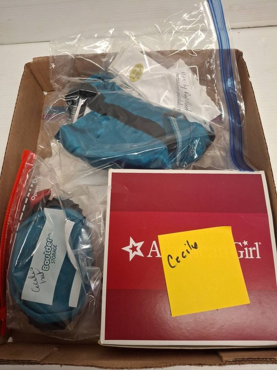 American Girl Cecile Doll Clothes & Accs