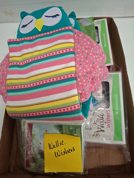 American Girl Wellie Wishers Doll Accessories