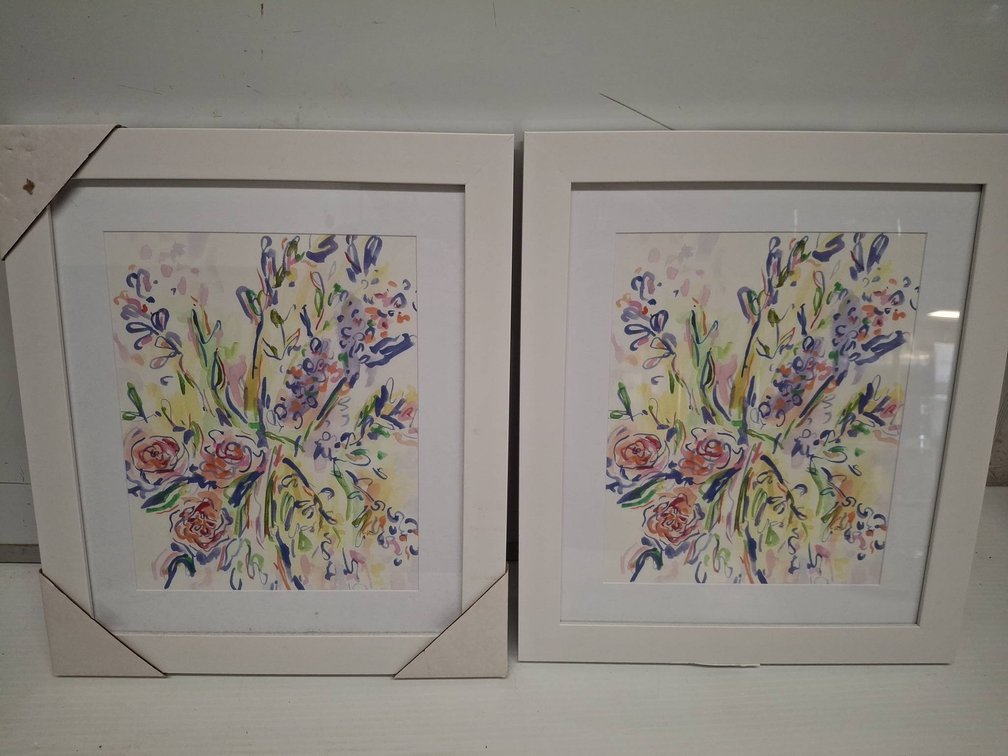 Pair Framed Eden Flora 13"×15" Art Prints