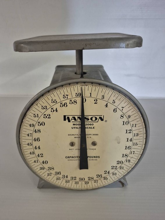 Hanson Model 2060 Utility Scale 60 lb Capacity