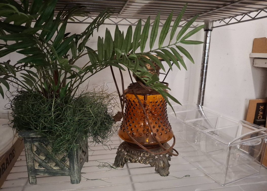Decor Plant, Amber Lamp, Clear Storage Bin Lot