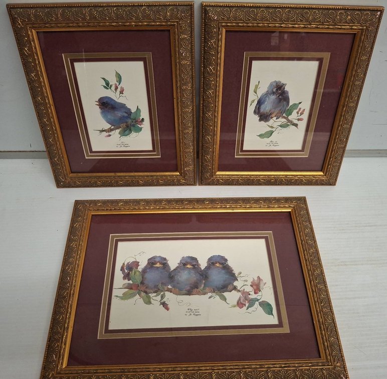 Framed Jo Huggins Bird Prints, Set of 3
