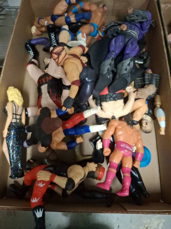Wrestling Action Figures