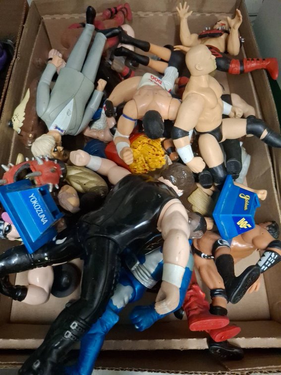 Wrestling Action Figures