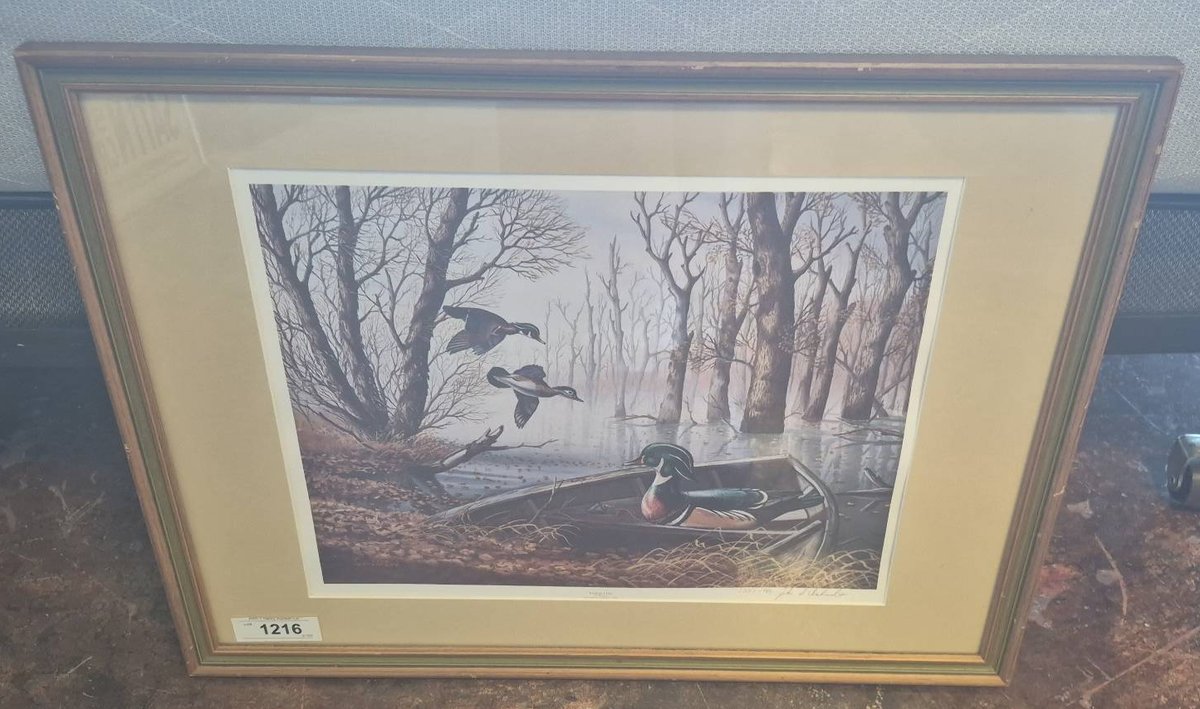 Framed Mallard Art Print by John A. Ruthven 25x19