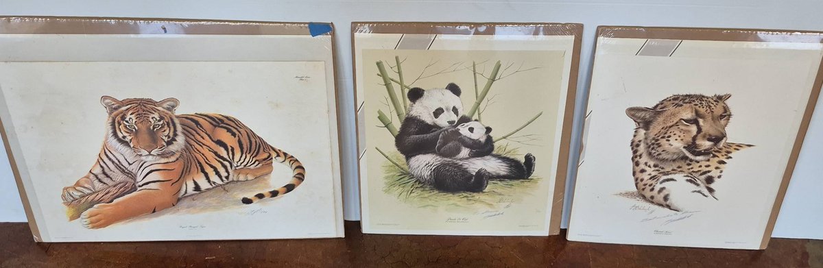 Wildlife Prints 3 Signed 28x23 Tiger Panda Cheetah
