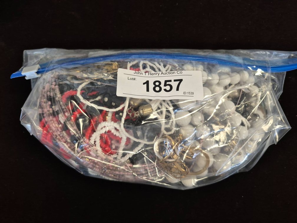 Costume Jewelry Lot in Bag