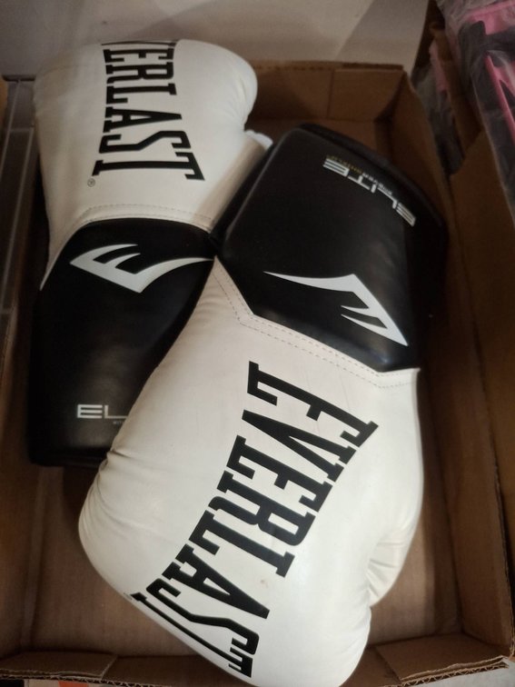 Everlast Elite Pro Style Boxing Gloves Pair