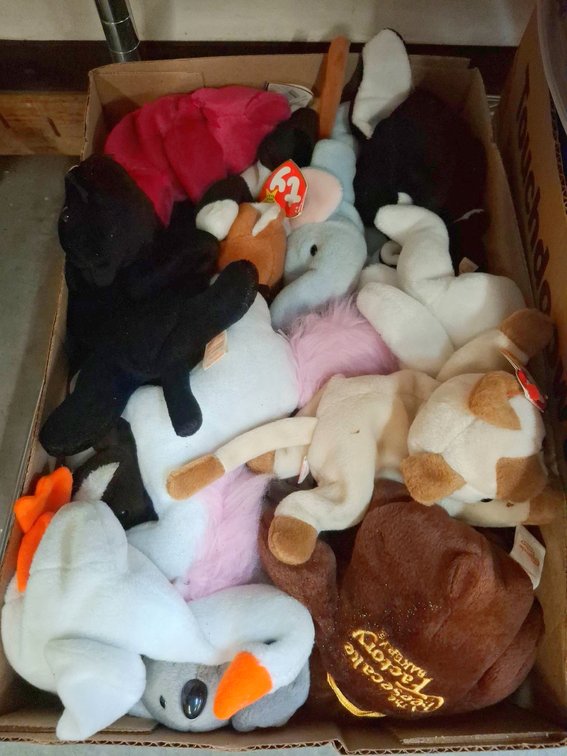 Box Lot Assorted TY Beanie Babies Plush Toys