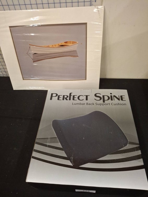 Perfect Spine Cushion & 20"×16" Paul Montecalvo Print