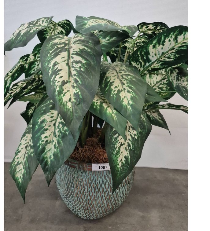 12" Artificial Dieffenbachia in Decorative Pot