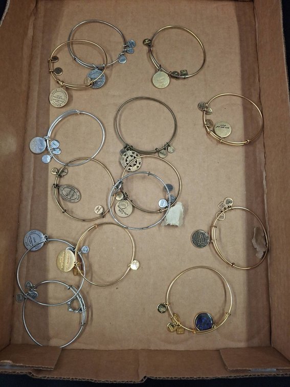 Alex and Ani Charm Bangles