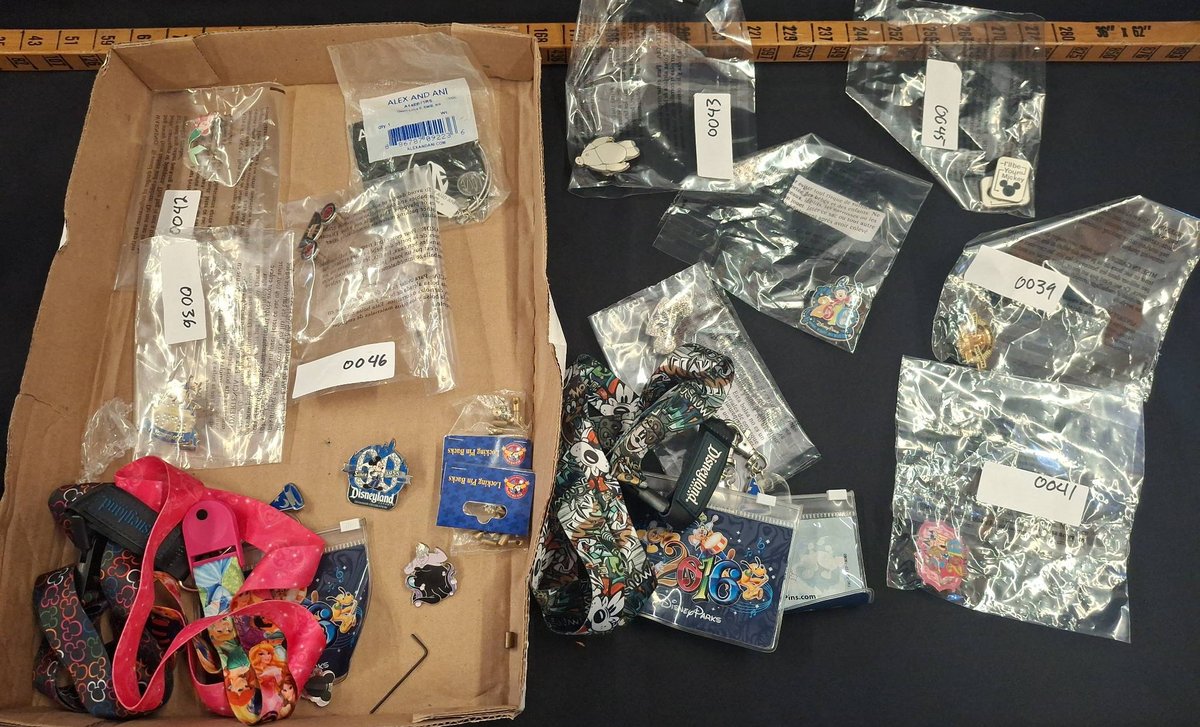 Disney Trading Pin Lot With Lanyards