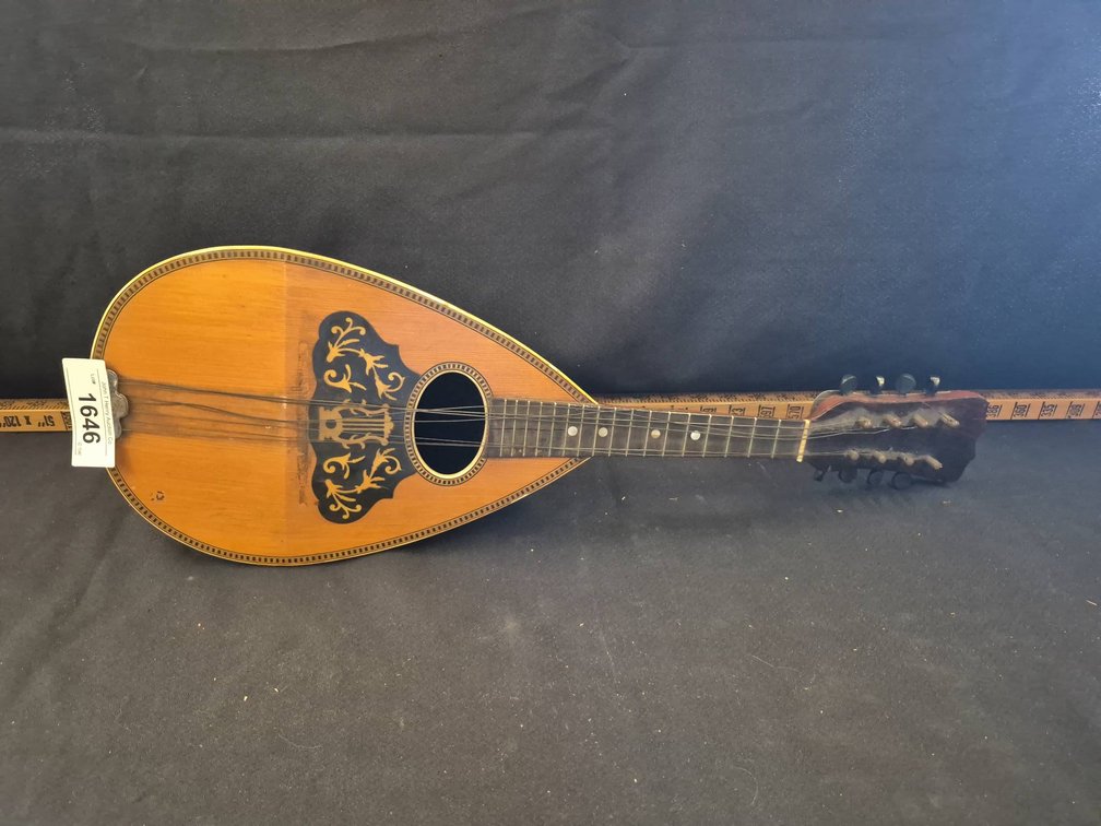 Mandolin String Instrument, 24in Wood Body