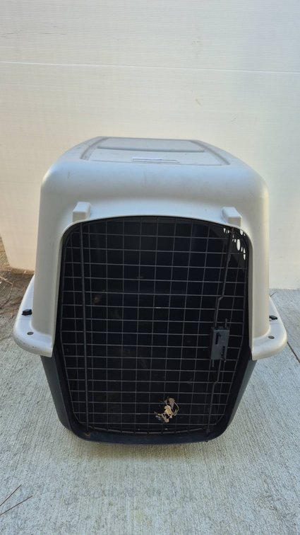 Large Pet Champion Plastic Pet Carrier