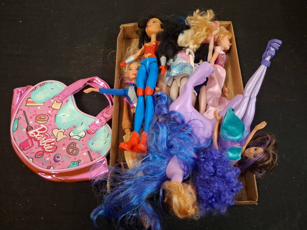 Dolls With Barbie Purse And Pony Toy