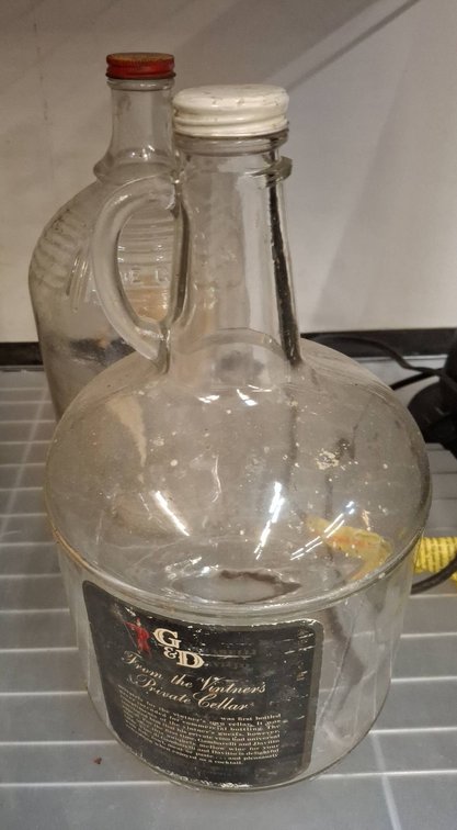 Gambarelli Daviito One Gallon Wine Jugs, 2 Pc