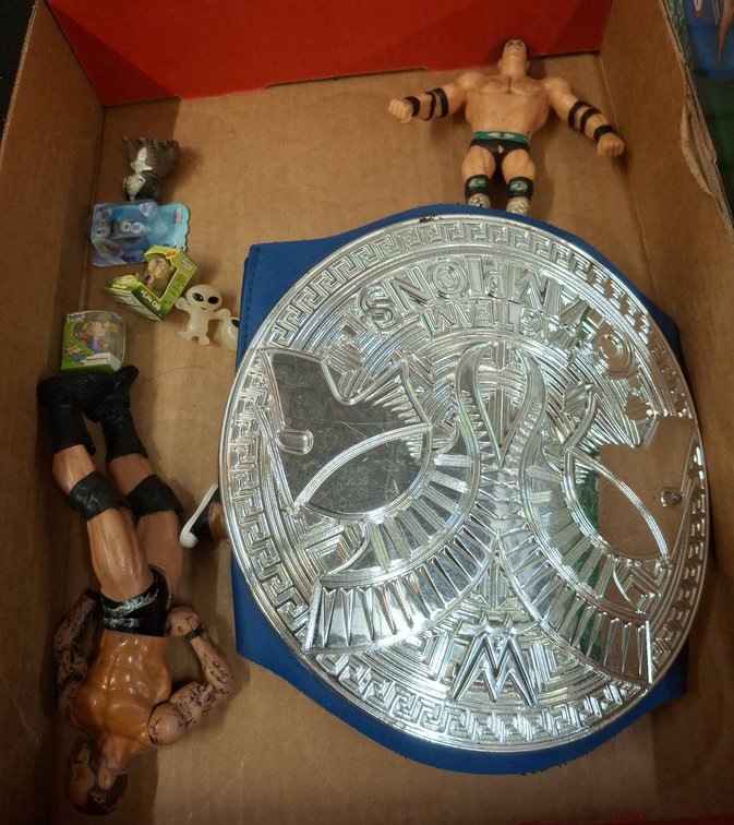 Wrestling Figures, Kids' Toys & Toy Belt Lot