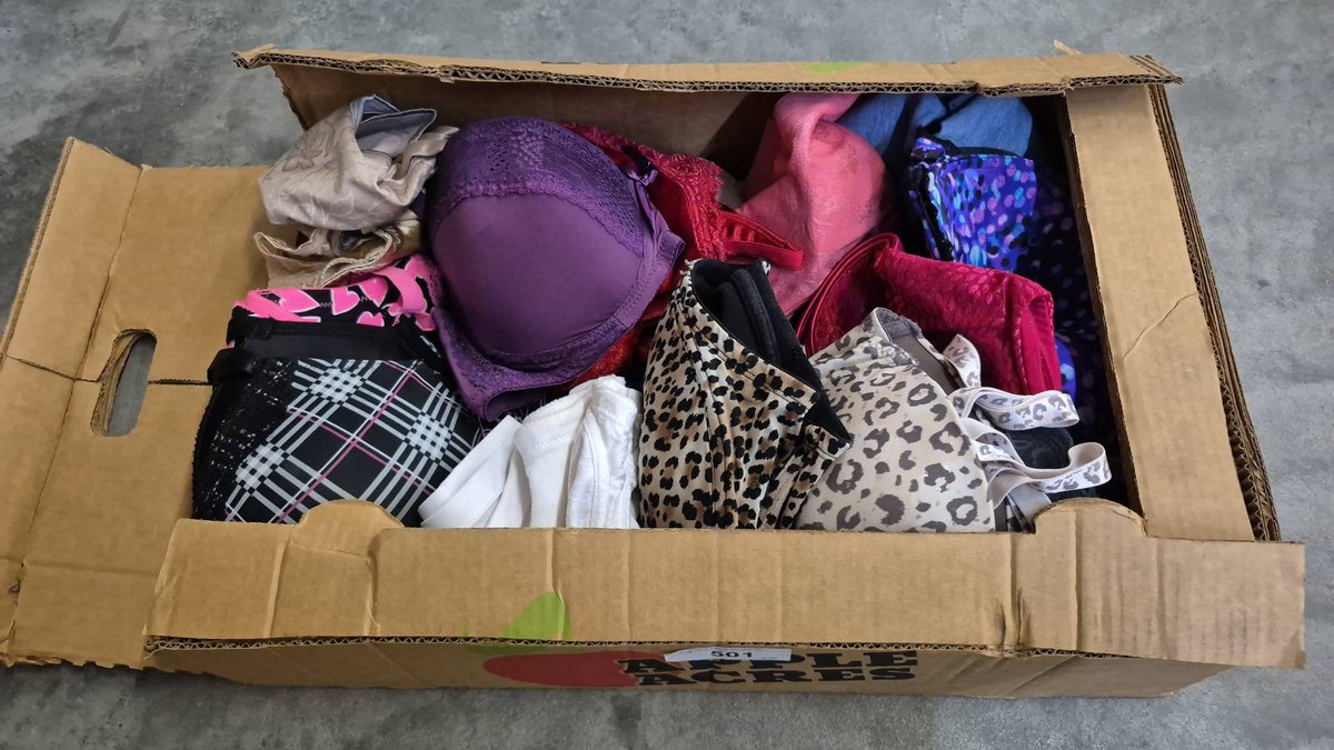 Women's Assorted Bras