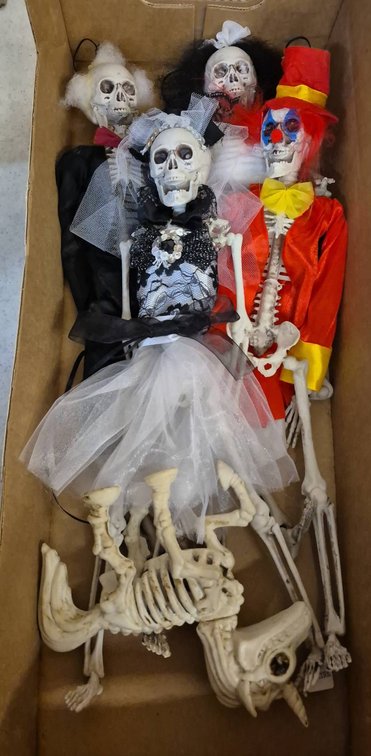 Skeleton Figures with Outfits, 6 Pieces