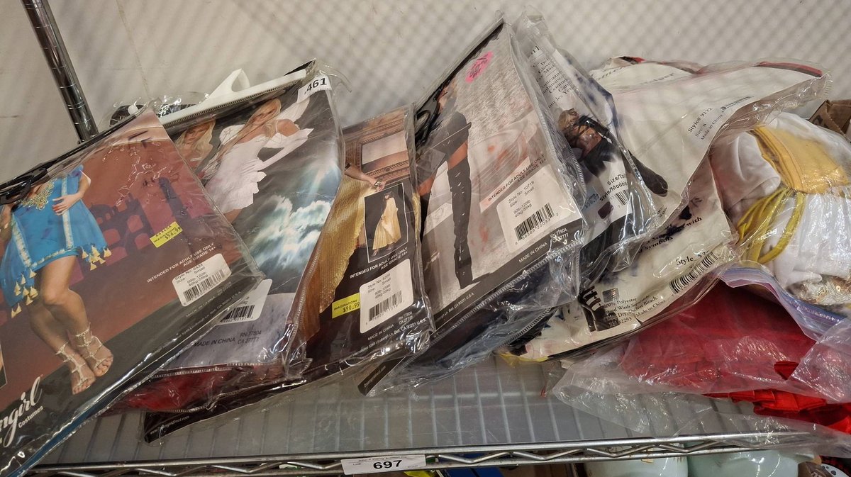 Women's Costume Lot, Various Brands