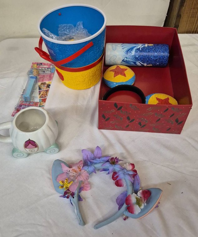Disney Princess Gift Lot With Accessories