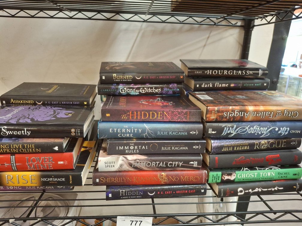 Young Adult Fantasy and Paranormal Book Lot