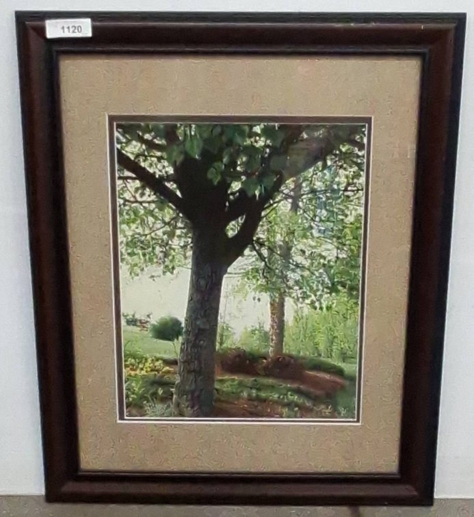 Framed Tree Landscape Art Print, 27x33 Inch