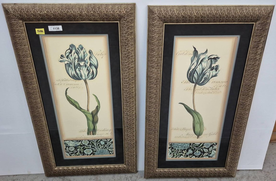 Pair Framed Botanical Tulip Prints 25x48 in
