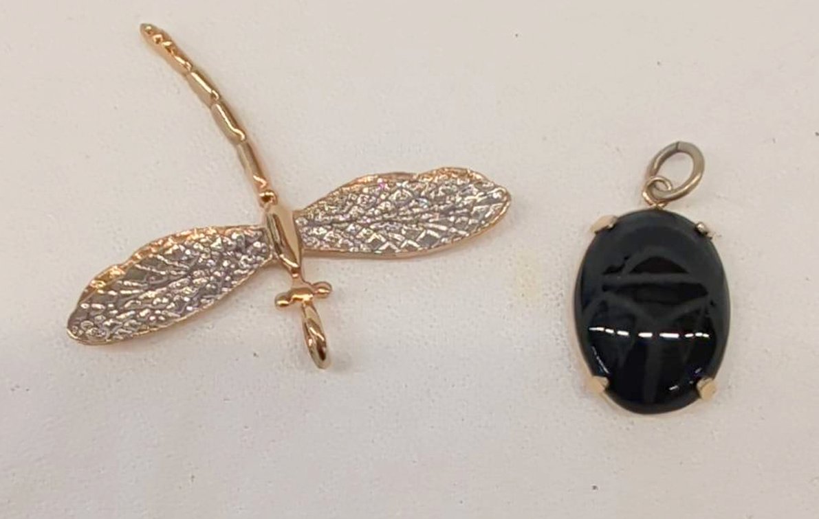 2-Piece Pendant Lot: Scarab & Dragonfly