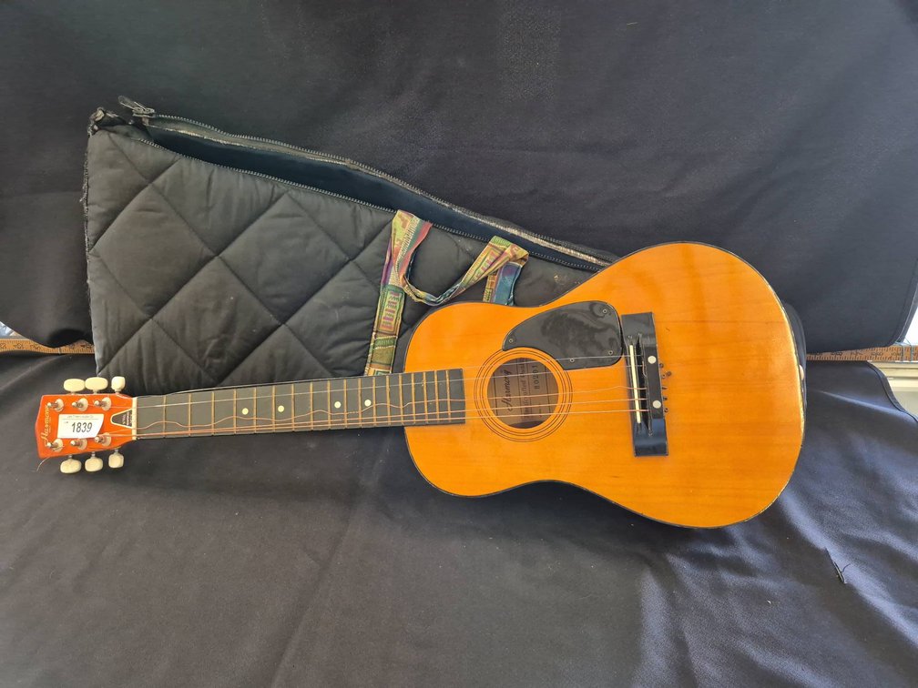 Harmony H0201 Acoustic Guitar With Soft Case