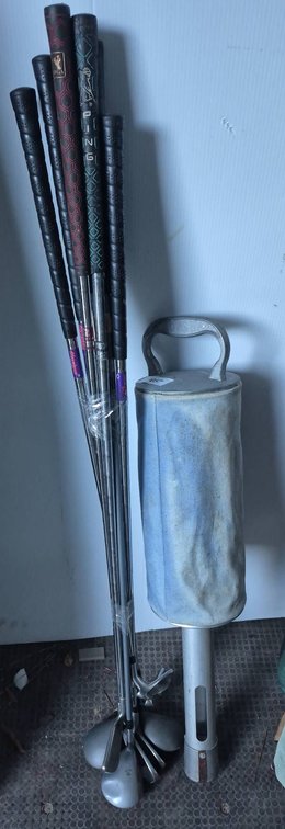 Golf Clubs Lot With Bag Shag Tube