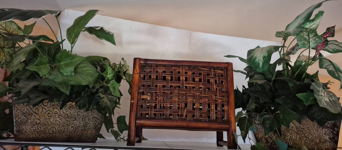 Pair Artificial Plants With Embossed Planters