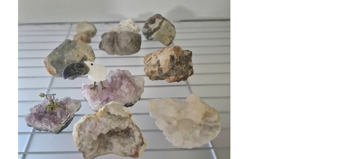 Minerals and Fossil Rock Collection Lot