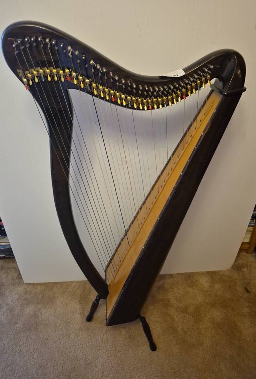 Aoyama Irish Student Harp Fukui Japan
