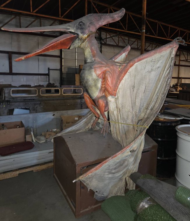 33-96" Animatronic Pterodactyl on Display Base - Little Spider Creations Pickup