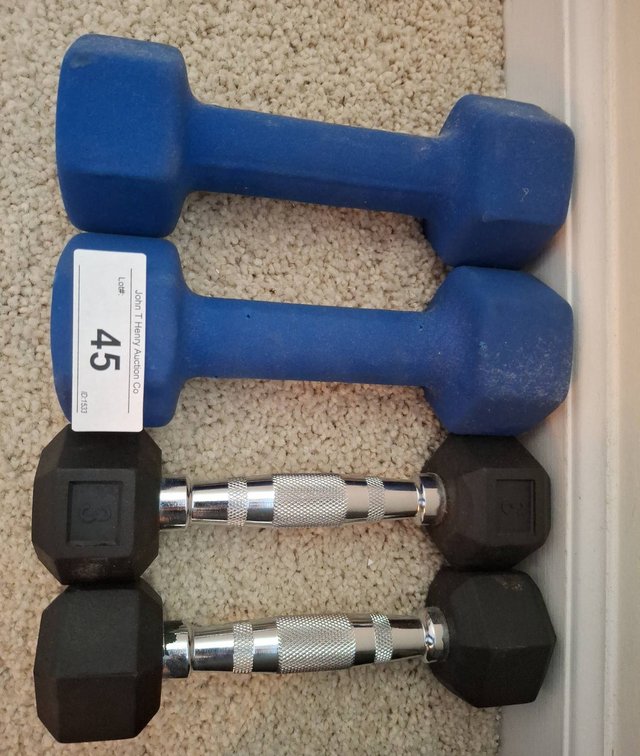 45 - 2 8 lb and 2 3 lb Dumbbells