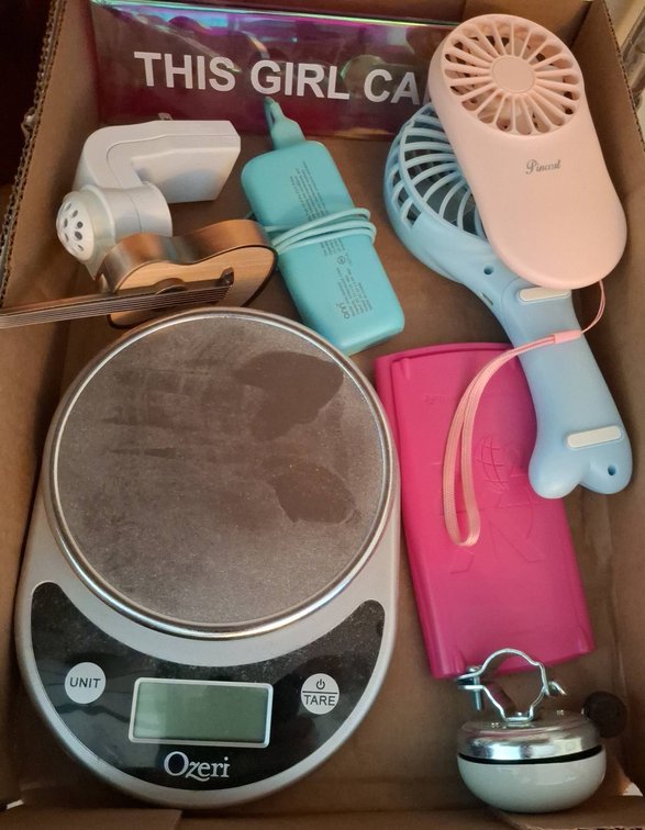58 - Personal Items, Ozeri Scale, Fans, Pouch